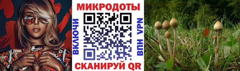 купить  цена  Электросталь  Галлюциногенные грибы ЛСД 